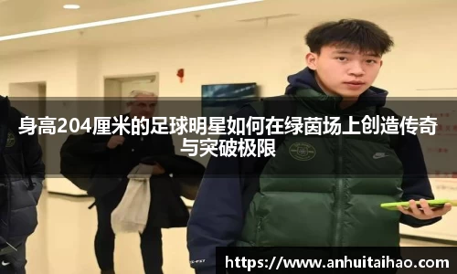 身高204厘米的足球明星如何在绿茵场上创造传奇与突破极限